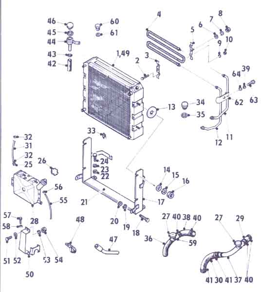 Nrt